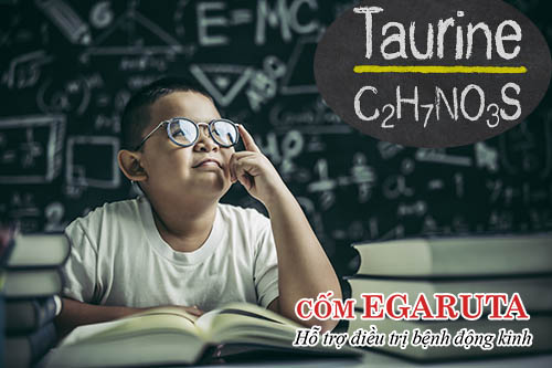 Taurine là thuốc bổ não tăng cường trí nhớ cho trẻ tăng động